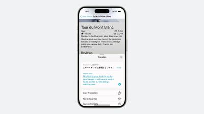 iOS 17 4 Translate App API